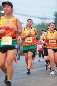 BIB: 11365, 17604
                            <button type="button" onclick="openModal(10047450)" class="btn btn-primary btn-sm float-right btn-popup" data-toggle="modal" data-target=".modal-high-quality">
                        <i class="fas fa-shopping-cart"></i> Add to Cart
                    </button>
                                            <button type="button" onclick="isThisMe(10047450, true)" class="btn btn-success btn-sm float-right btn-popup btn-isme hidden" data-toggle="tooltip" data-placement="bottom" title="นี่คือรูปของคุณใช่ไหม คลิกที่นี่เพื่อเอาเข้าอัลบั้ม">
                        <i class="fas fa-plus"></i> Add to album
                    </button>
                    <button type="button" onclick="isThisMe(10047450, false)" class="btn btn-warning btn-sm float-right btn-popup btn-isnotme hidden">
                        <i class="fas fa-ban"></i> Remove from album
                    </button>